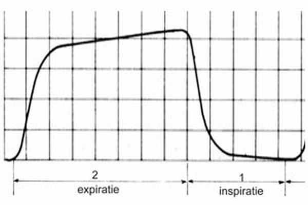 Важность контроля выдыхаемого CO2 при ведении пациентов с COVID-19