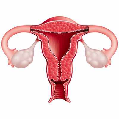Лейкоплакия - определение в гинекологии? Признаки, симптомы и терапия лейкоплакии шейки матки