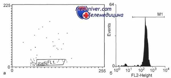 Иммунодиагностика гемобластозов