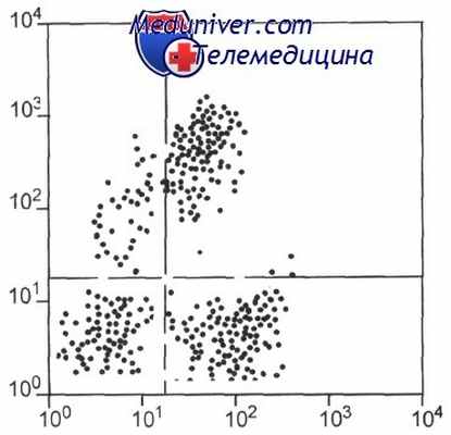 Иммунодиагностика гемобластозов