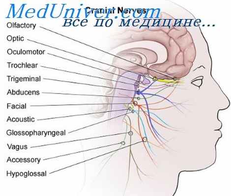 эмбриопатии