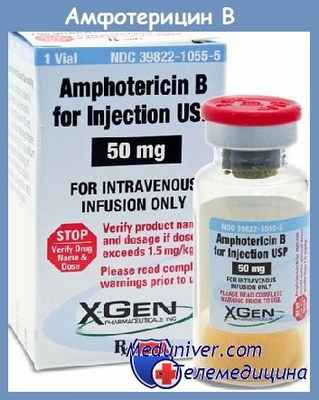амфотерицин В