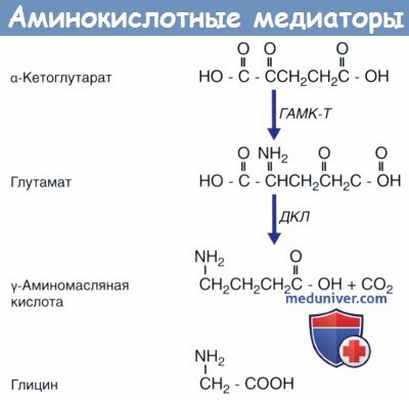Аминокислотные медиаторы