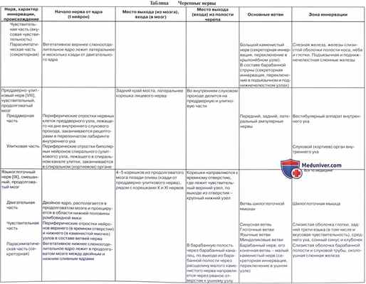 Анатомия: Черепные нервы, nn. craniales (encephalici)