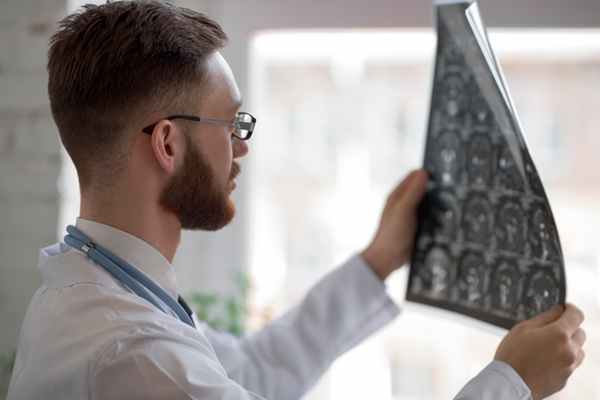 Развитие головного мозга человека