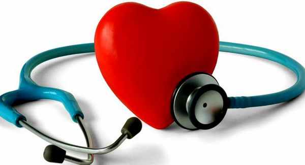 Анатомия сердца и сосудов.