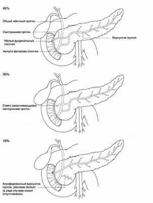 Анатомическая конфигурация внутрипанкреатической протоковой системы