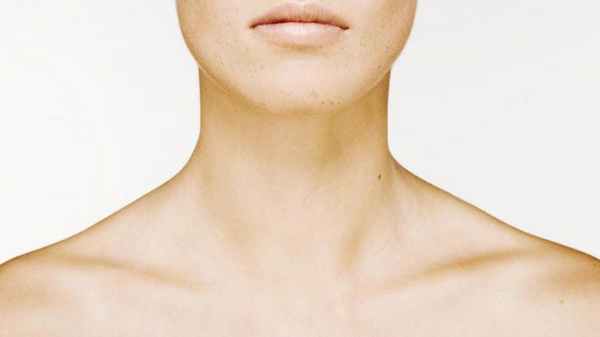 ключица где находится