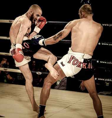 anatomia_kostej_goleni