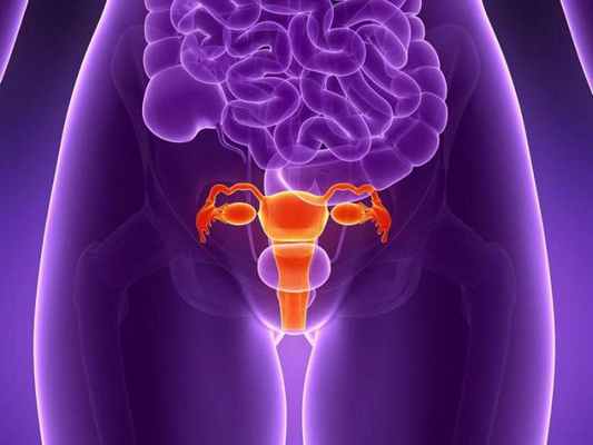 Опущение матки: симптомы и терапия, отзывы, фото, упражнения