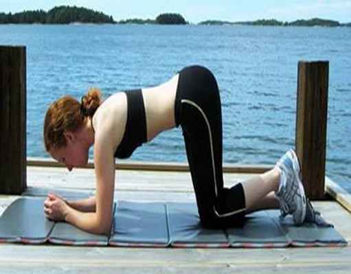 мышцы диафрагмы таза