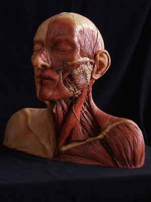 подвисочная ямка