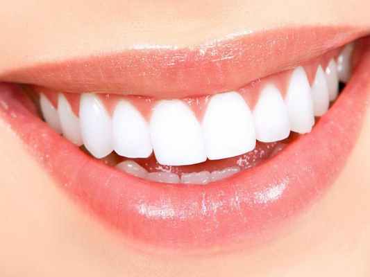 Анатомия нижней челюсти человека. Топографическая анатомия зубов верхней и нижней челюстей