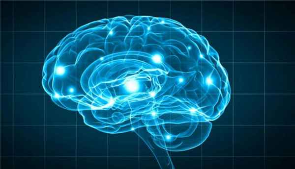 Анатомия головы человека: области головы