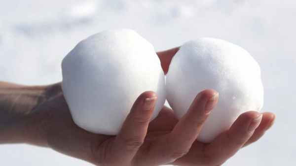 придаток яичка анатомия 