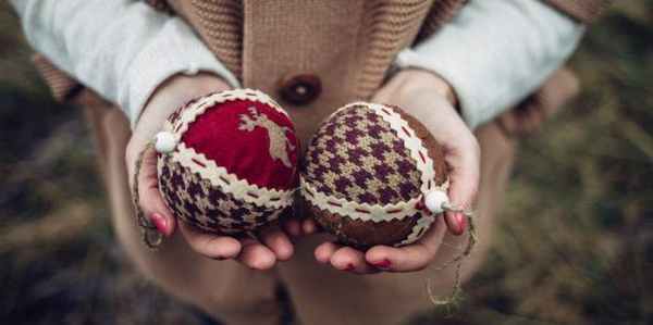 яичко анатомия 