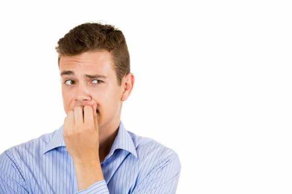 анатомия яичка мужчины 