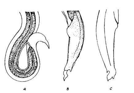 описание: рис52
