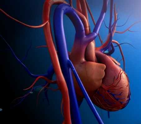 Аортокоронарное шунтирование или стентирование?