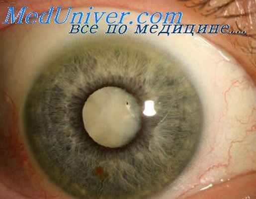 скарификационные пробы