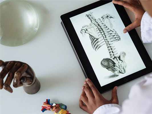 Магнитно-резонансная томография тазобедренного сустава