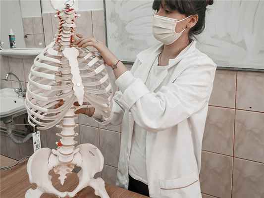 Магнитно-резонансная томография тазобедренного сустава