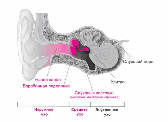 Кондуктивная тугоухость