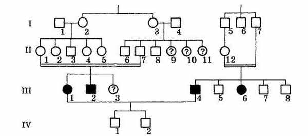 Родословную с глухонемоты, что иллюстрирует генетическую гетерогенность