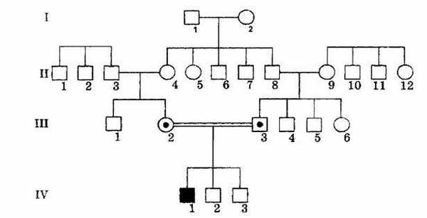 Родословную с единичным случаем пигментной ксеродермы в браке двоюродных брата и сестры