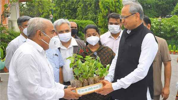 ашвагандха