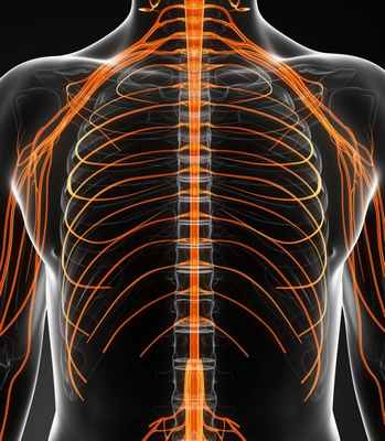 блокада межреберных нервов