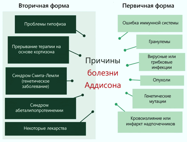 причины Болезни Аддисона 