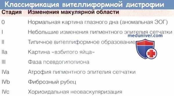 Классификация вителлиформной дистрофии