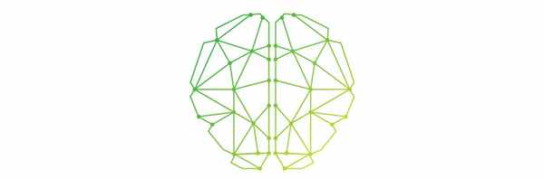 Методика магнитно-резонансной томографии при черепно-мозговой травме у детей