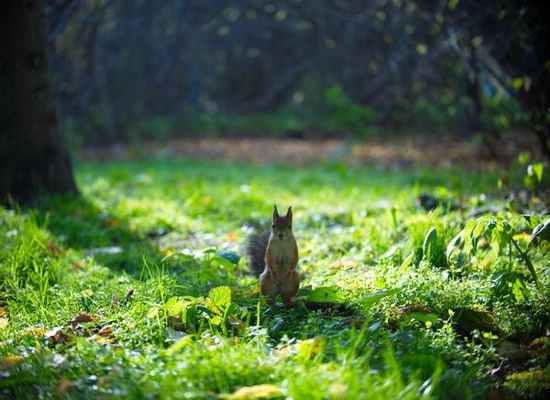 Евгений Кулаков