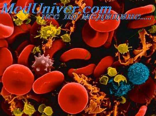 бронхиальная провокация