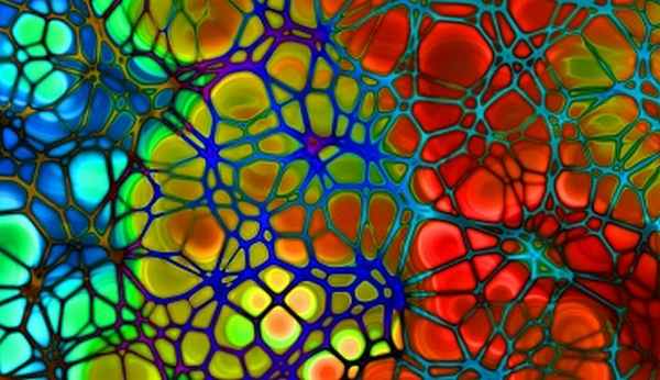 Флебография