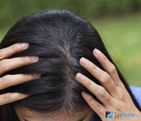 Закрашивание седины оттеночным шампунем