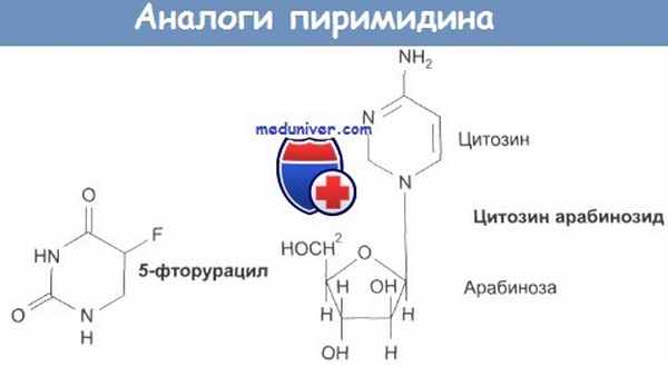 Аналоги пиримидина