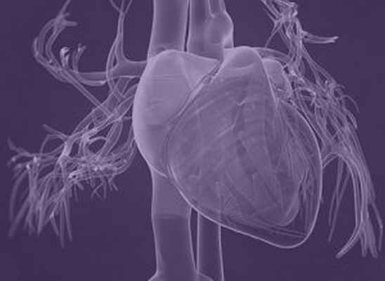 Кардиология