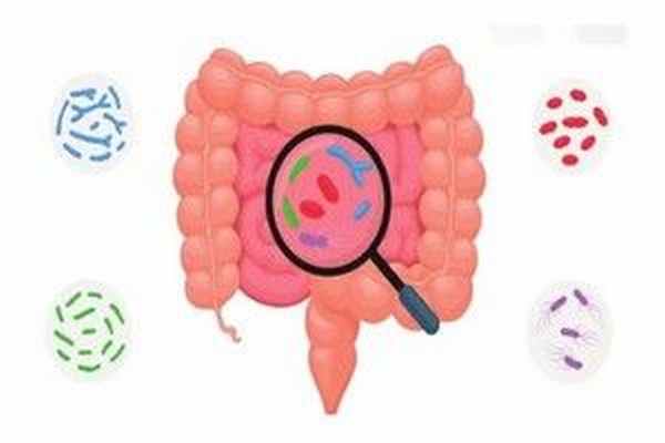 Восстановление микрофлоры кишечника - что необходимо знать?