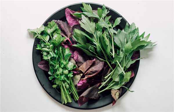 Фото: Shutterstock