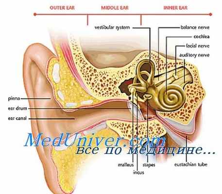 нейросенсорная наследственная глухота