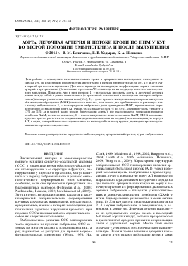 АОРТА, ЛЕГОЧНАЯ АРТЕРИЯ И ПОТОКИ КРОВИ ПО НИМ У КУР ВО ВТОРОЙ ПОЛОВИНЕ ЭМБРИОГЕНЕЗА И ПОСЛЕ ВЫЛУПЛЕНИЯ - тема научной статьи по биологии из журнала Онтогенез