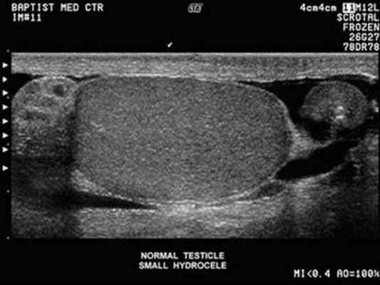 Картинка 10 из 69