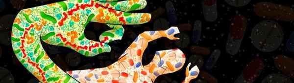 История наркоза