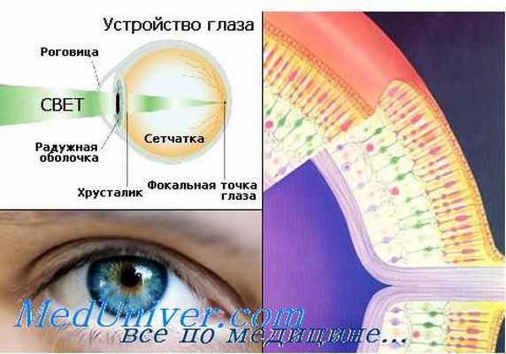 выявление глаукомы