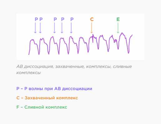 АВ диссоциация, захваченные, комплексы, сливные комплексы