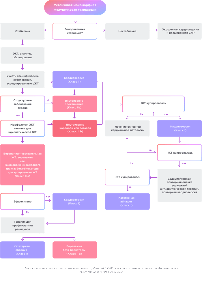 Анатомия треугольника Коха