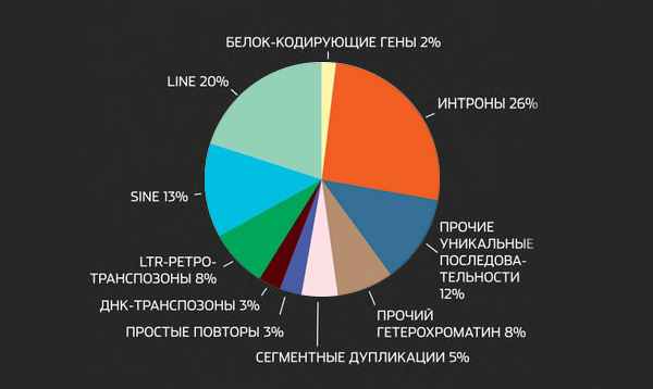 Почти половина генома